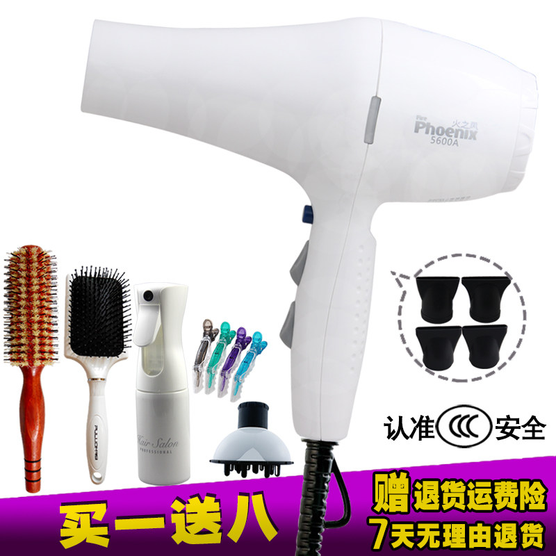 2400W大功率发廊专用纯铜