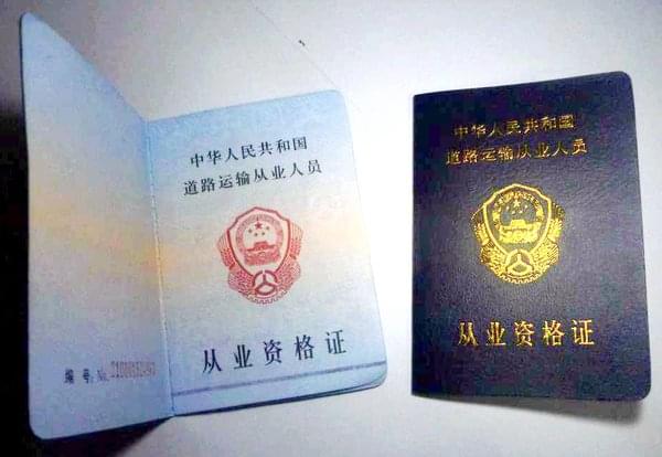 如何让狗狗变漂亮狗狗家庭美容法?(图1)